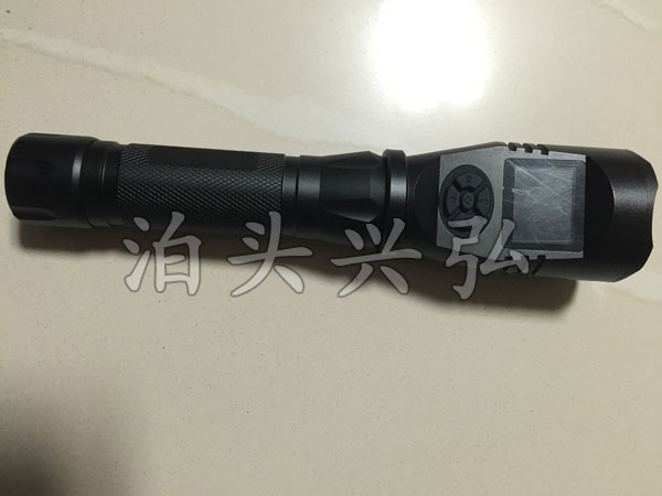 强光记录仪（BTXH-1型）